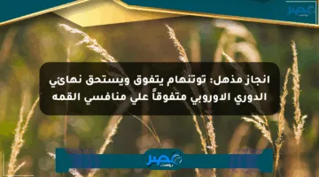 إنجاز مذهل: توتنهام يتفوق ويستحق نهائي الدوري الأوروبي متفوقاً على منافسي القمة
